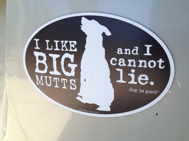 A magnet that reads 'I like big mutts and I cannot lie.'